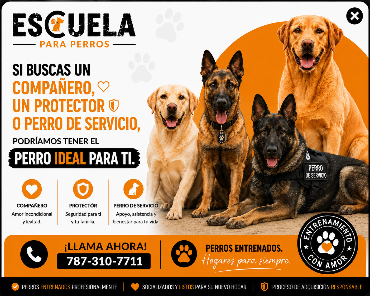 Escuela para Perros - Pop Up